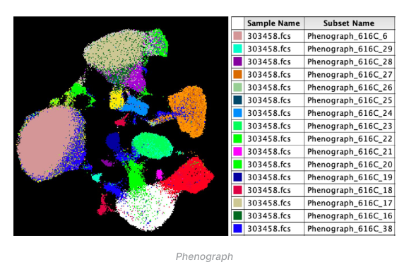 phenograph
